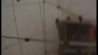 Floridas Amateurs 02 – Scene 8