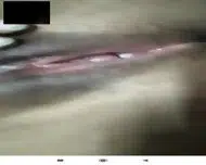 Tahia WhatsApp chat video