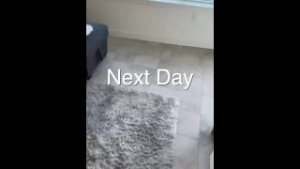 Blonde Babes Coco Lovelock And Haley Spades In San Diego