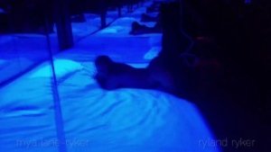 Creampie in a Sex Dungeon