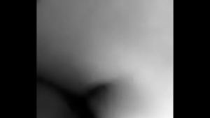 xvideos