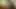 Desi Local Indian Village Hot sexy bhabhi Fucking Beautiful Fuck xxx videos Girls Boy Wife