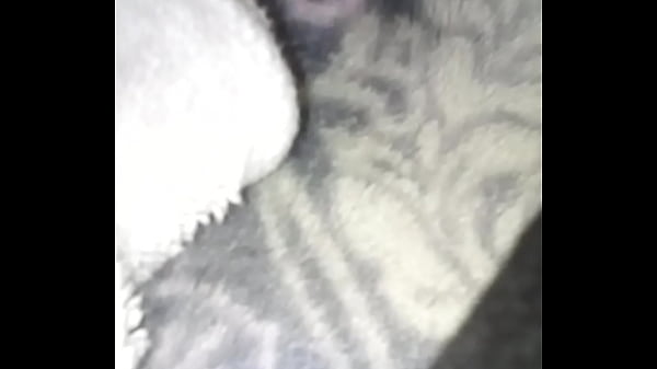 Xvideos presents black nasty