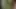 Bhabe love Debor Dick to Blowjob xxx