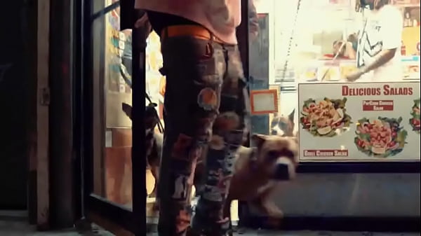 City – DAWG