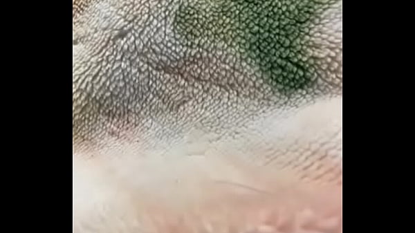 認証動画