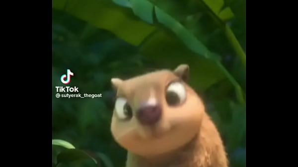 Hitelesítő videó