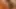 Hottest German Shaved Pussy on Xhamster !