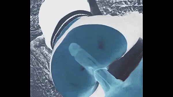 X-Ray-ish SEX – HOTT!!!