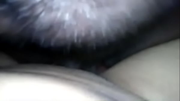 Xvideos