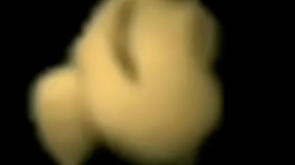 Xvideos