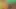 BBW XXX –  Sunflower Fatty Striptease For Your Pleasure