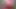 Desi GF BF unmarried Sex in OYO leaked MMS Xxx, Desi Village GF tight pussy fuck