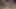 new year 2026 ko desi bhabhi ki gand maari blowjob & cumshot in mouth kiya xxx video