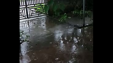 Video xác minh